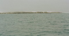 large00140423-65