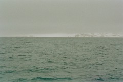 large00140423-66