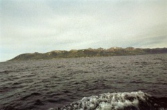 large00590434-62