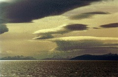 large00590434-66