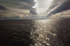 large00590434-68