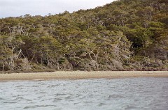 large00590434-71