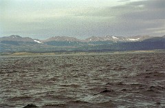 large00590434-75