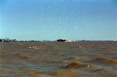 large00060382-58