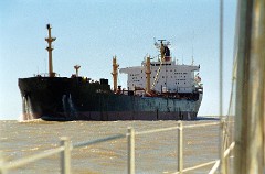 large00060382-66