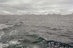 large00530410-53