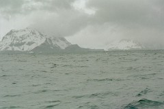 large00530410-69