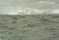 large00530410-71
