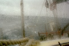 large00530410-77
